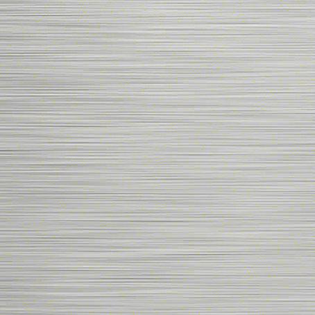 Stainless Steel(Short Brush)