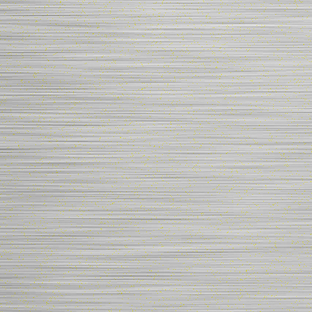 Stainless Steel(Short Brush)