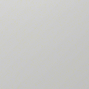 white sliver