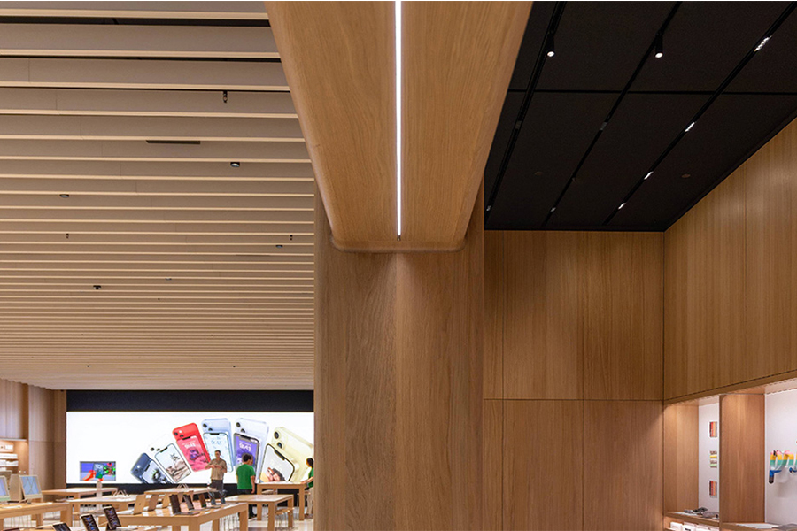 2_0005_1744687134275901